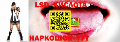 мдпв Кингисепп