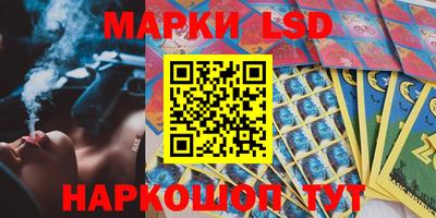 мдпв Кингисепп
