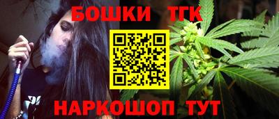 мдпв Кингисепп