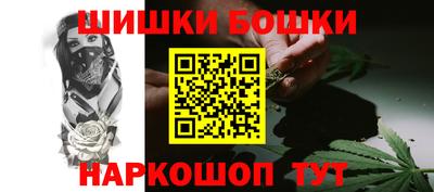 мдпв Кингисепп