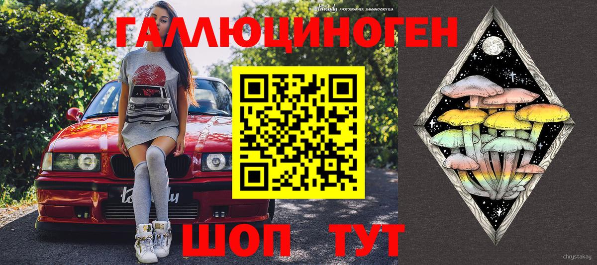 Знаменск  Галлюциногенные грибы Psilocybe  Вход с VPN 